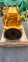 Двигатель Caterpillar C9 420-1871 REMAN 0