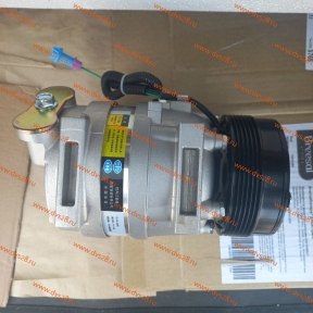 Компрессор кондиционера WP12 DZ15221840303